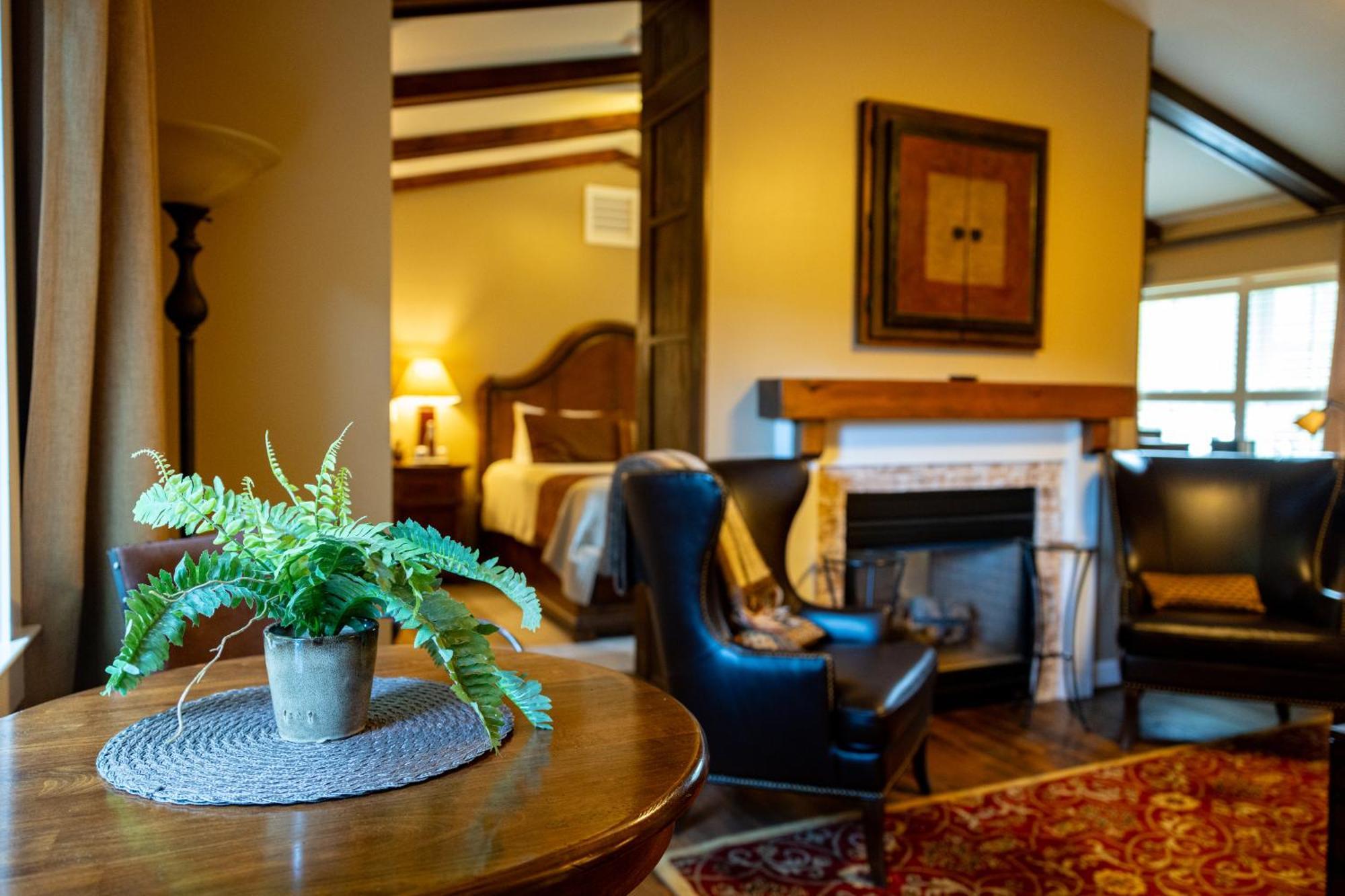 Mills River Bed & Breakfast On Tiffany Hill מראה חיצוני תמונה